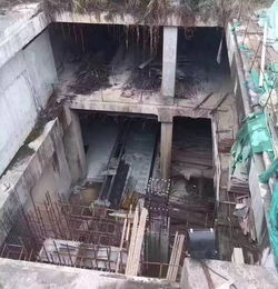 粵港澳大灣區西線新動脈 虎門、長安工程建設迎來實質性利好，實地勘察全面展開