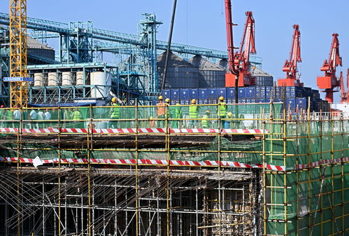 青島國際郵輪港區搶抓施工黃金期，建設按下“快進鍵”，工程勘察穩步推進